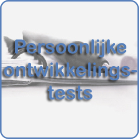 360 graden Feedback, Leary, Belbin Kolb Specialisten in Samenwerken Teambuilding Heidagen Teamtrainingen Quinn Testsysteem Groepsdynamica Valide Betrouwbaar Assessment  Handy